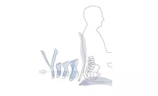 最舒服的辦公椅3.jpg 最舒服的辦公椅3.jpg